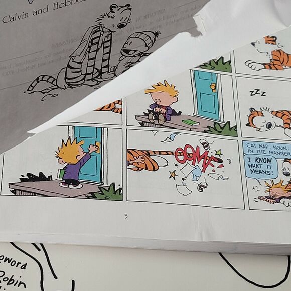 The Far Side and Calvin Hobbes Paperback Comic Collections Set of Two Books - Picture 7 of 8